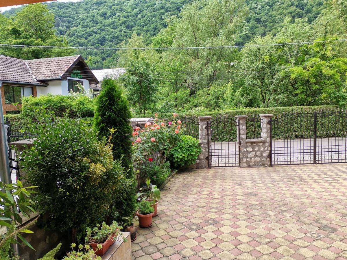 Vila Ana Băile Herculane Eksteriør bilde