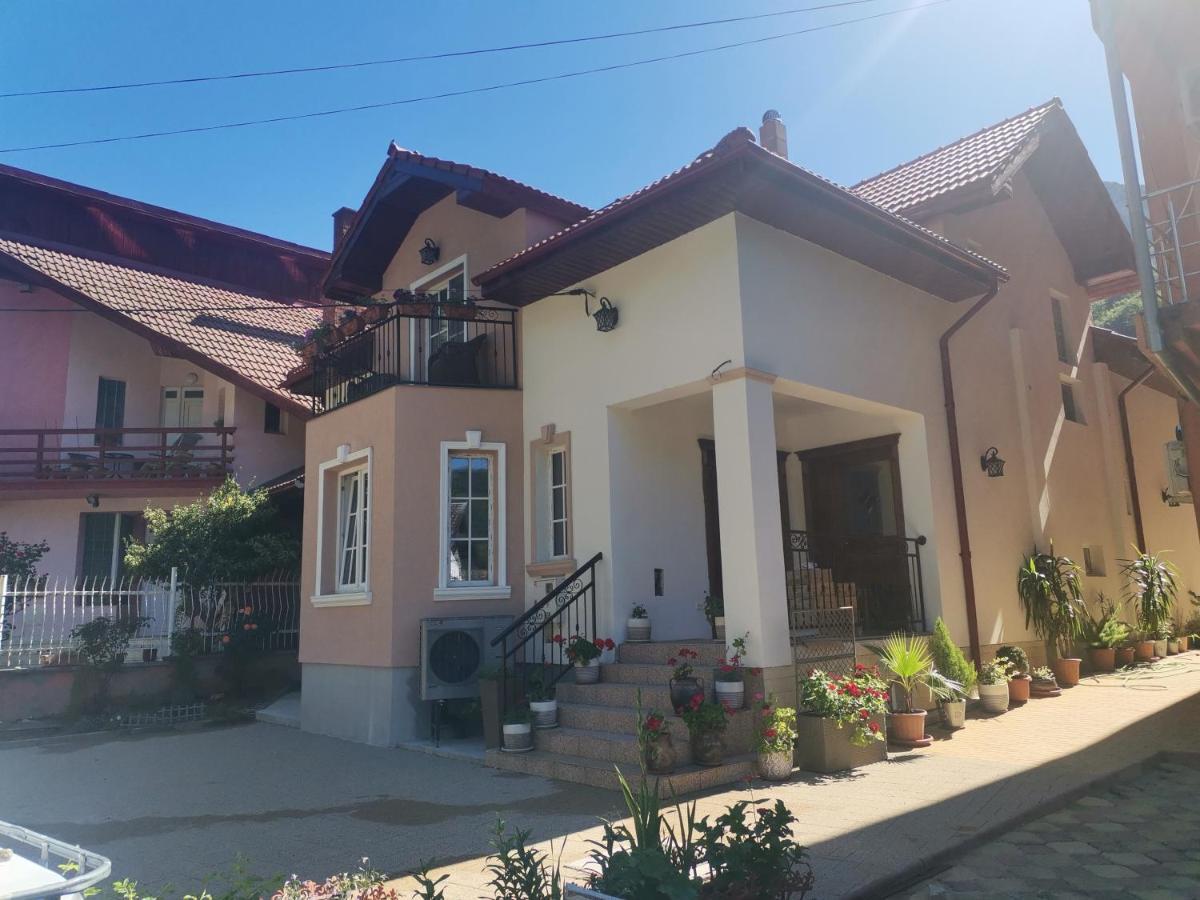Vila Ana Băile Herculane Eksteriør bilde